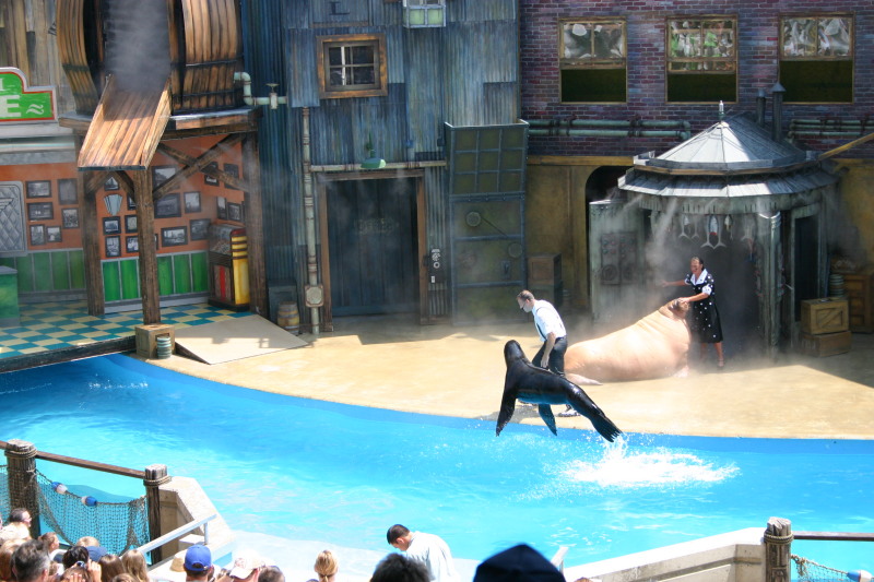 2005/06(June)/SeaWorld/800x600_2005-06-23-SeaWorld-11-SeaLion-show.JPG