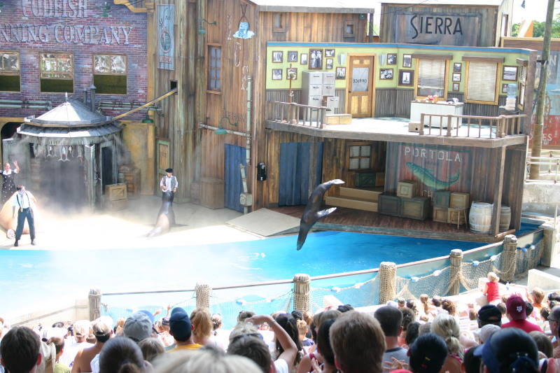 2005-06-23-SeaWorld-13-SeaLion-show.JPG
