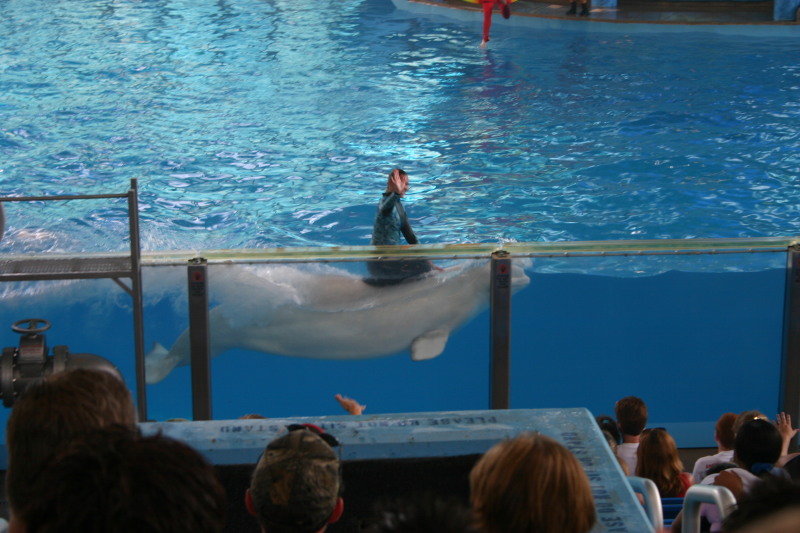 2005/06(June)/SeaWorld/800x600_2005-06-23-SeaWorld-90-Acrobat-show.JPG
