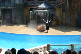 2005-06-23-SeaWorld-10-SeaLion-show.JPG