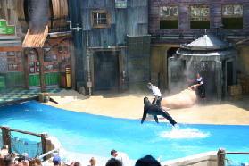 2005-06-23-SeaWorld-11-SeaLion-show.JPG