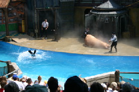 2005-06-23-SeaWorld-12-SeaLion-show.JPG