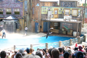 2005-06-23-SeaWorld-13-SeaLion-show.JPG