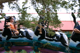 2005-06-23-SeaWorld-84-Suzi-Chance-Dax.JPG