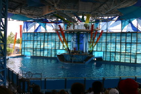 2005-06-23-SeaWorld-87-Acrobat-show.JPG