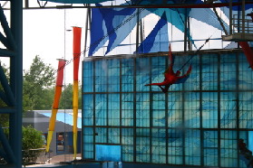 2005-06-23-SeaWorld-89-Acrobat-show.JPG