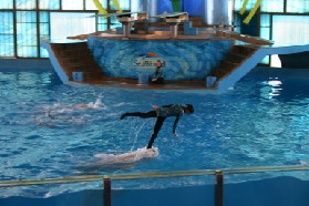 2005-06-23-SeaWorld-91-Acrobat-show.JPG