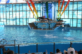 2005-06-23-SeaWorld-94-Acrobat-show.JPG