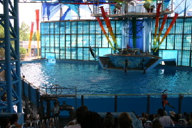 2005-06-23-SeaWorld-95-Acrobat-show.JPG