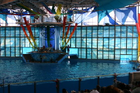 2005-06-23-SeaWorld-97-Acrobat-show.JPG