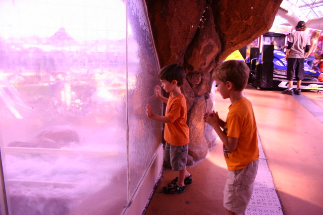 2005/07(July)/Las-Vegas/640x480_2005-07-10-Las-Vegas-01-Circus-Circus-Chance-Dax.JPG