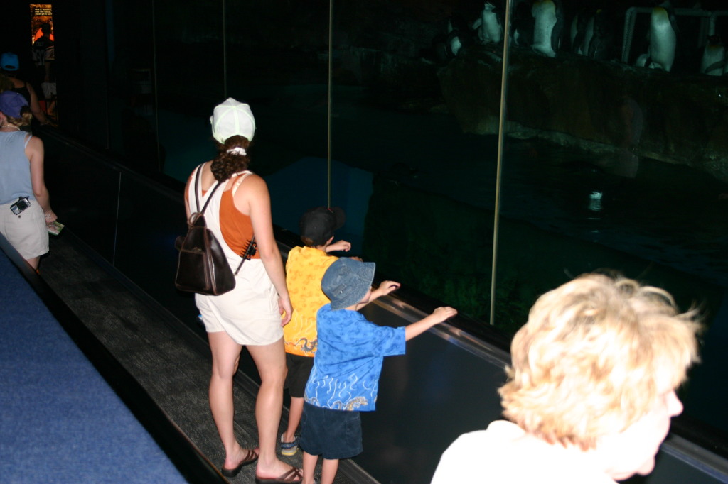 2005/07(July)/Sea-World/2005-07-01-SeaWorld-01-Suzi-Chance-Dax-penguins.jpg