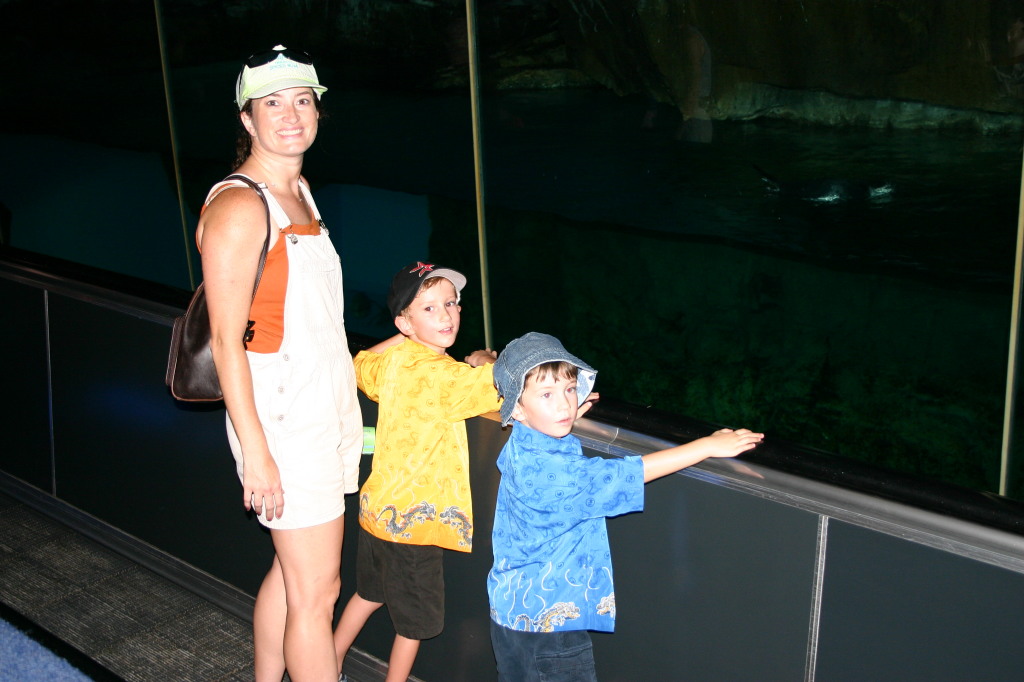 2005/07(July)/Sea-World/1024x768_2005-07-01-SeaWorld-02-Suzi-Chance-Dax-penguins.jpg