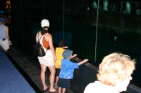 2005/07(July)/Sea-World/2005-07-01-SeaWorld-01-Suzi-Chance-Dax-penguins.jpg
