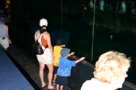2005-07-01-SeaWorld-01-Suzi-Chance-Dax-penguins.jpg