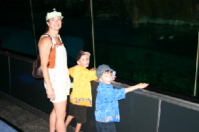 2005-07-01-SeaWorld-02-Suzi-Chance-Dax-penguins.jpg