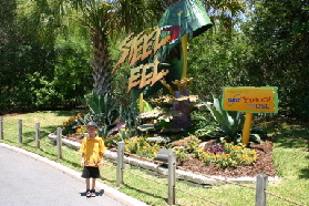 2005-07-01-SeaWorld-08-Chance-first-roller-coaster.jpg