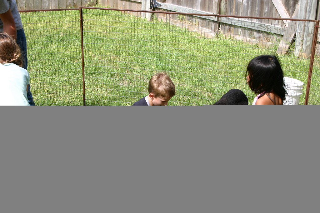 2005/08(August)/Case-Bday/1024x768_2005-08-13-Case-Birthday-06-animals-Chance.JPG
