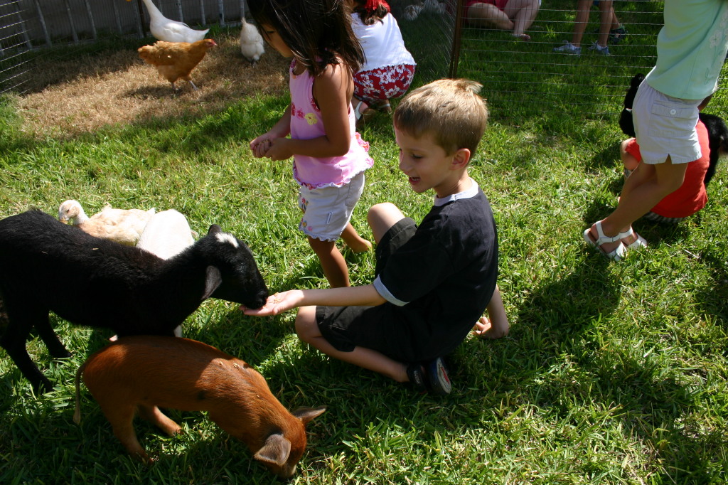 2005/08(August)/Case-Bday/1024x768_2005-08-13-Case-Birthday-11-animals-Chance.JPG
