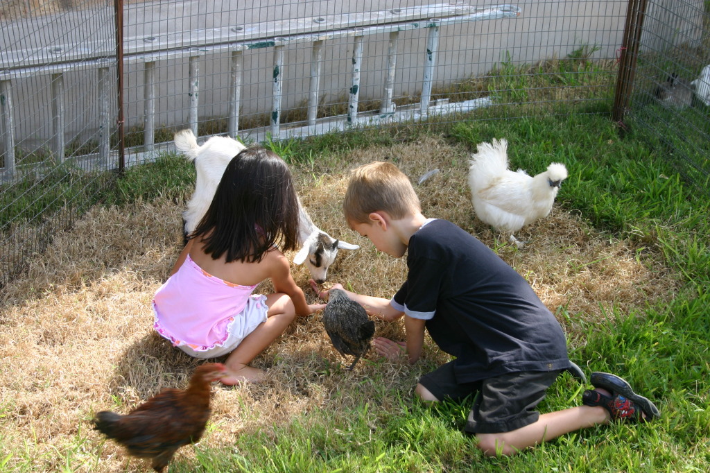 2005/08(August)/Case-Bday/1024x768_2005-08-13-Case-Birthday-12-animals-Chance.JPG