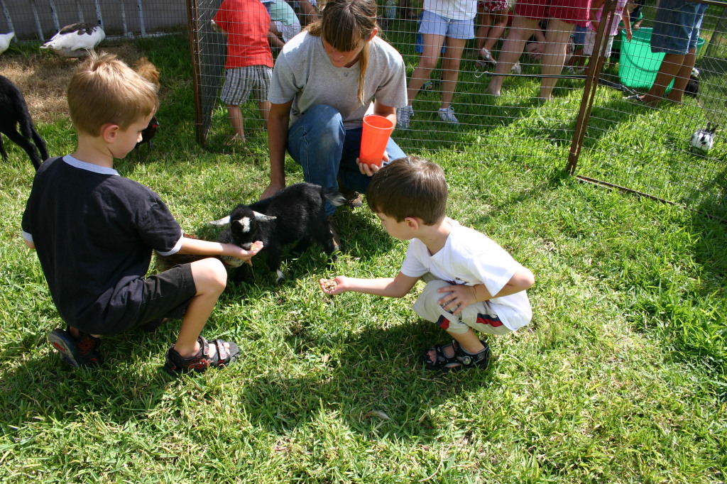 2005/08(August)/Case-Bday/1024x768_2005-08-13-Case-Birthday-14-animals-Chance-Dax.JPG