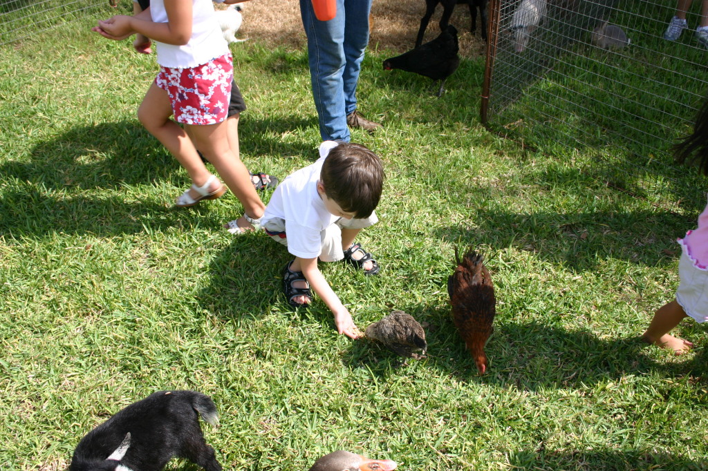 2005/08(August)/Case-Bday/1024x768_2005-08-13-Case-Birthday-19-animals-Dax.JPG