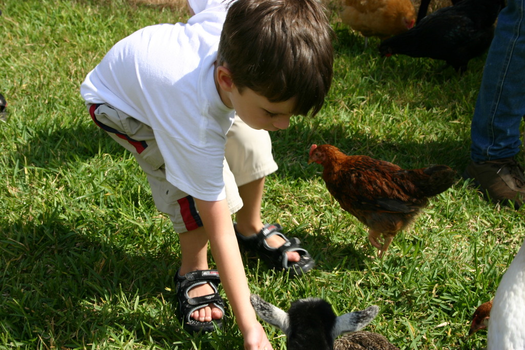2005-08-13-Case-Birthday-20-animals-Dax.JPG