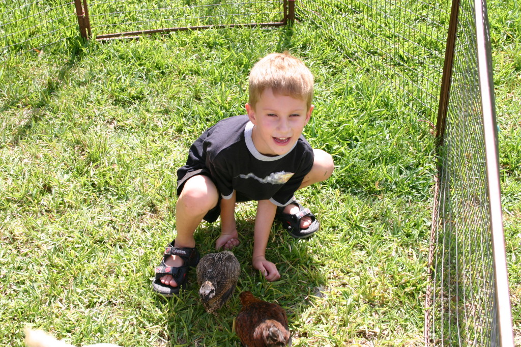 2005/08(August)/Case-Bday/1024x768_2005-08-13-Case-Birthday-22-animals-Chance.JPG