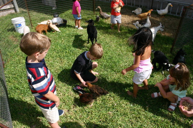 2005-08-13-Case-Birthday-03-animals-Chance.JPG