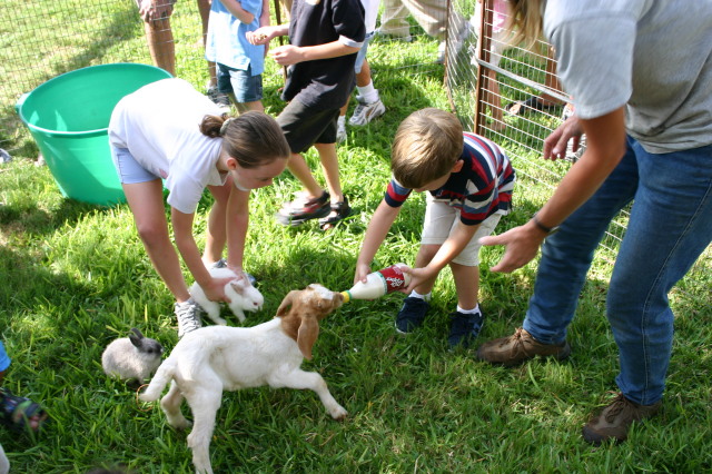 2005/08(August)/Case-Bday/640x480_2005-08-13-Case-Birthday-04-animals-Chance.JPG