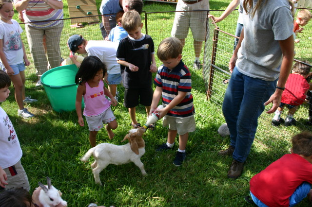 2005-08-13-Case-Birthday-05-animals-Chance.JPG