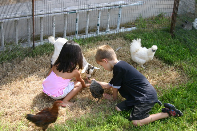 2005/08(August)/Case-Bday/640x480_2005-08-13-Case-Birthday-12-animals-Chance.JPG