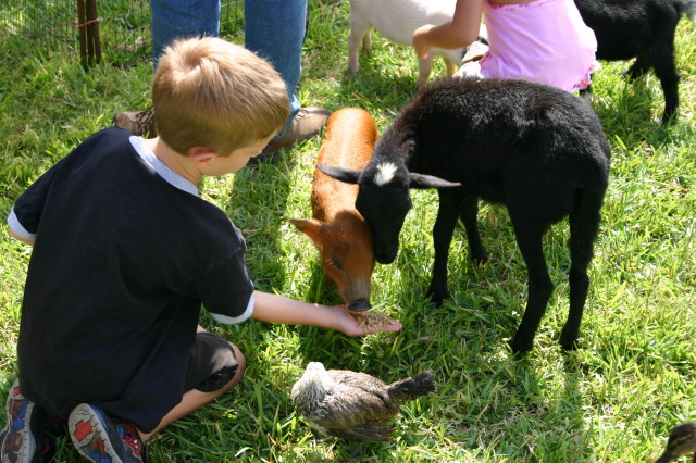 2005/08(August)/Case-Bday/640x480_2005-08-13-Case-Birthday-13-animals-Chance.JPG