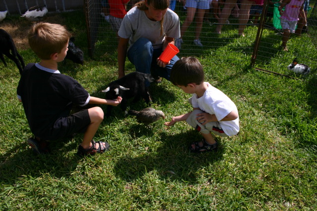 2005-08-13-Case-Birthday-15-animals-Chance-Dax.JPG
