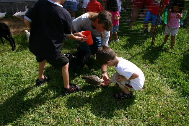2005/08(August)/Case-Bday/640x480_2005-08-13-Case-Birthday-17-animals-Chance-Dax.JPG