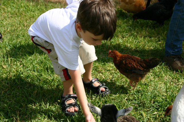 2005/08(August)/Case-Bday/640x480_2005-08-13-Case-Birthday-20-animals-Dax.JPG