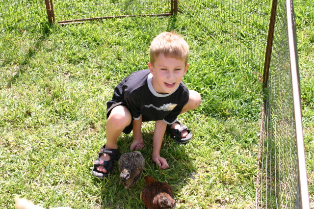 2005-08-13-Case-Birthday-22-animals-Chance.JPG