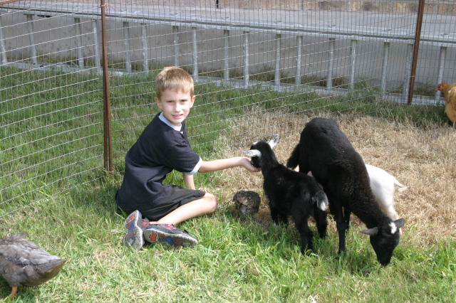 2005/08(August)/Case-Bday/640x480_2005-08-13-Case-Birthday-26-animals-Chance.JPG