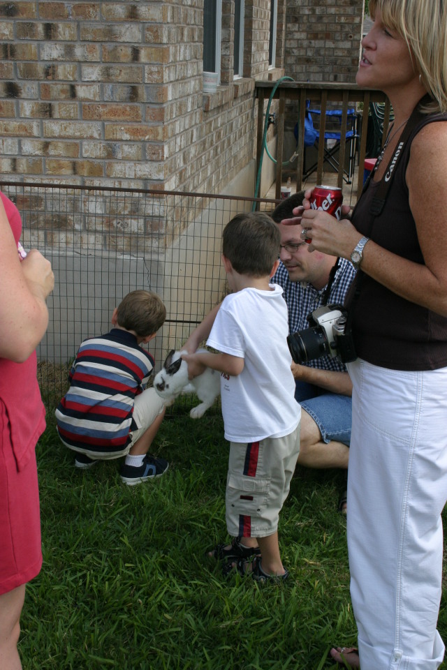 2005/08(August)/Case-Bday/640x480_2005-08-13-Case-Birthday-28-animals-Dax-bunny.JPG