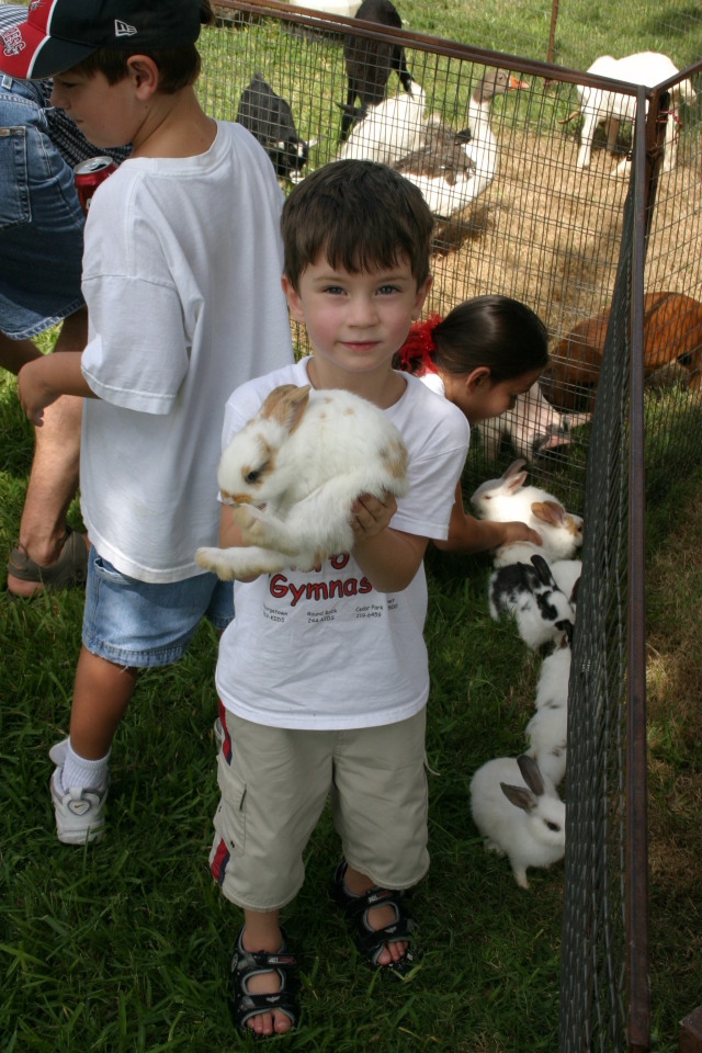 2005-08-13-Case-Birthday-31-animals-Dax-bunny.JPG