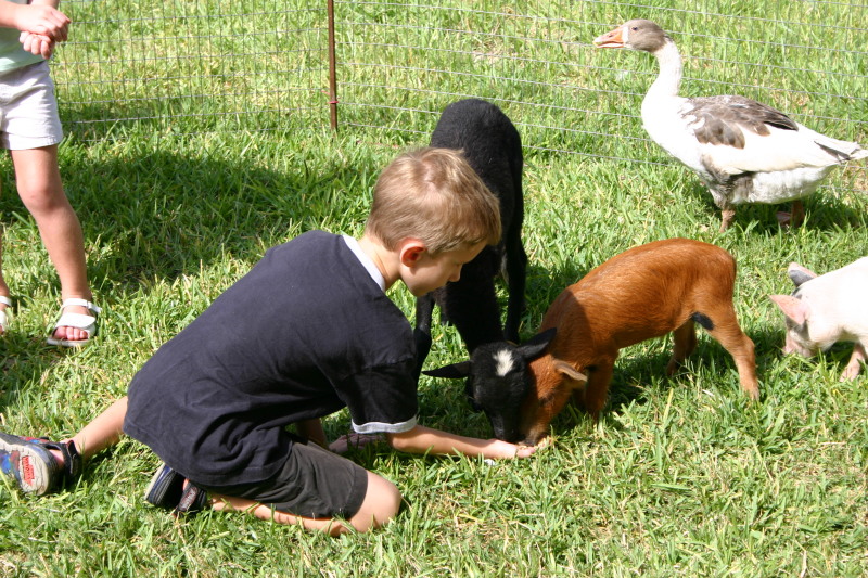 2005/08(August)/Case-Bday/800x600_2005-08-13-Case-Birthday-07-animals-Chance.JPG