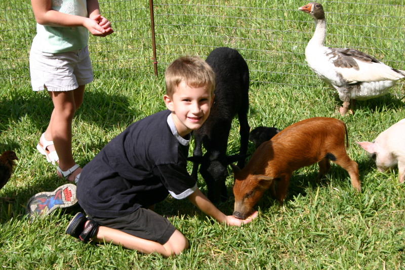 2005/08(August)/Case-Bday/800x600_2005-08-13-Case-Birthday-09-animals-Chance.JPG