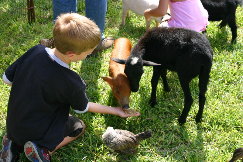 2005/08(August)/Case-Bday/800x600_2005-08-13-Case-Birthday-13-animals-Chance.JPG