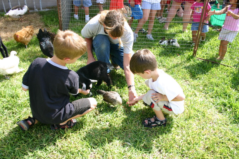 2005/08(August)/Case-Bday/800x600_2005-08-13-Case-Birthday-16-animals-Chance-Dax.JPG