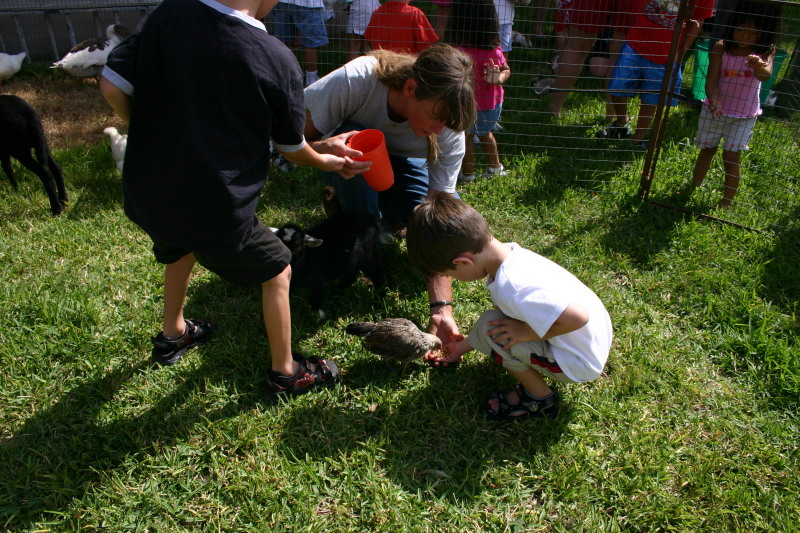 2005/08(August)/Case-Bday/800x600_2005-08-13-Case-Birthday-17-animals-Chance-Dax.JPG