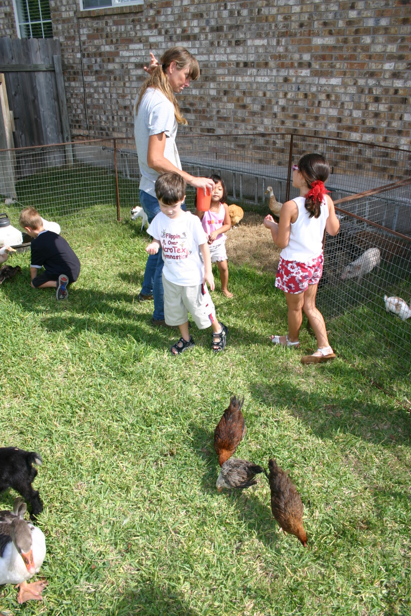 2005/08(August)/Case-Bday/800x600_2005-08-13-Case-Birthday-18-animals-Chance-Dax.JPG