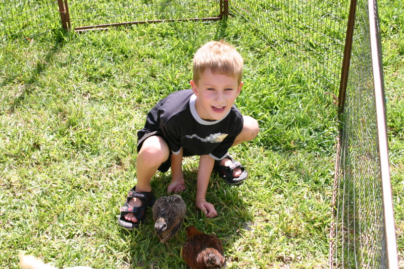 2005/08(August)/Case-Bday/800x600_2005-08-13-Case-Birthday-22-animals-Chance.JPG