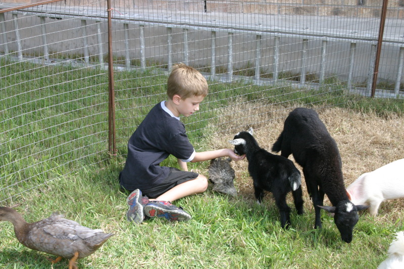 2005/08(August)/Case-Bday/800x600_2005-08-13-Case-Birthday-24-animals-Chance.JPG