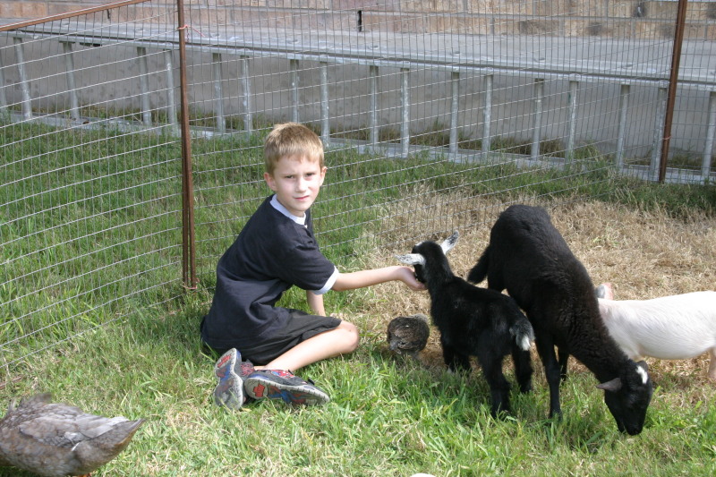 2005/08(August)/Case-Bday/800x600_2005-08-13-Case-Birthday-25-animals-Chance.JPG