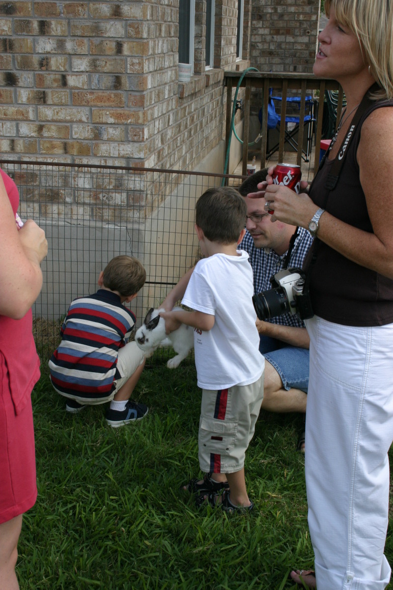 2005/08(August)/Case-Bday/800x600_2005-08-13-Case-Birthday-28-animals-Dax-bunny.JPG